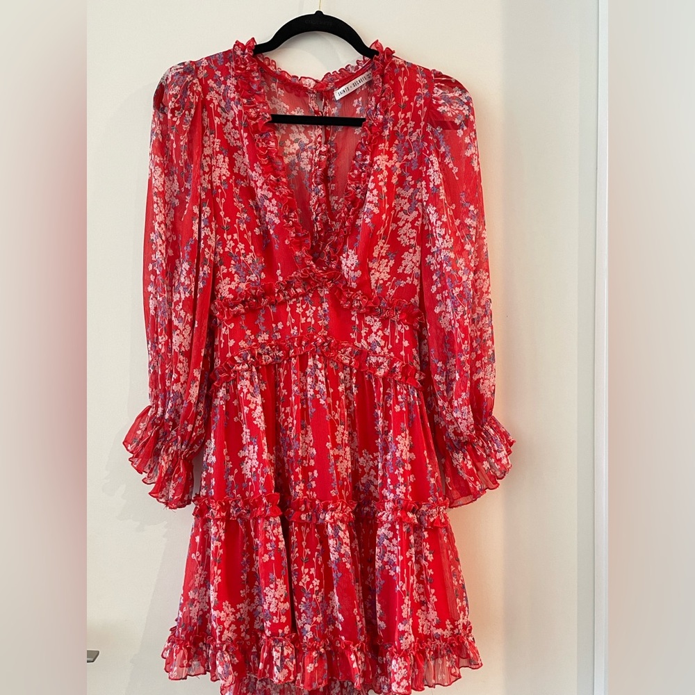 Vici super cute girly dress!